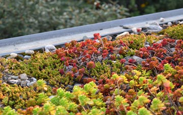 the cost of Wyton green roof installation