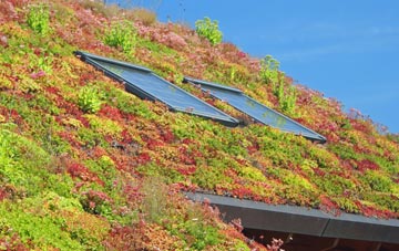 Wyton living roof systems
