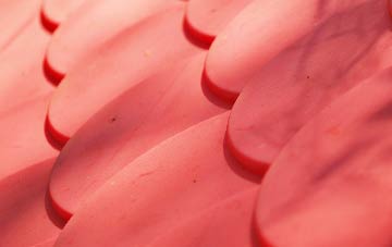 Wyton plastic roof costs