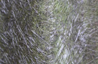 Wyton fibreglass roof work